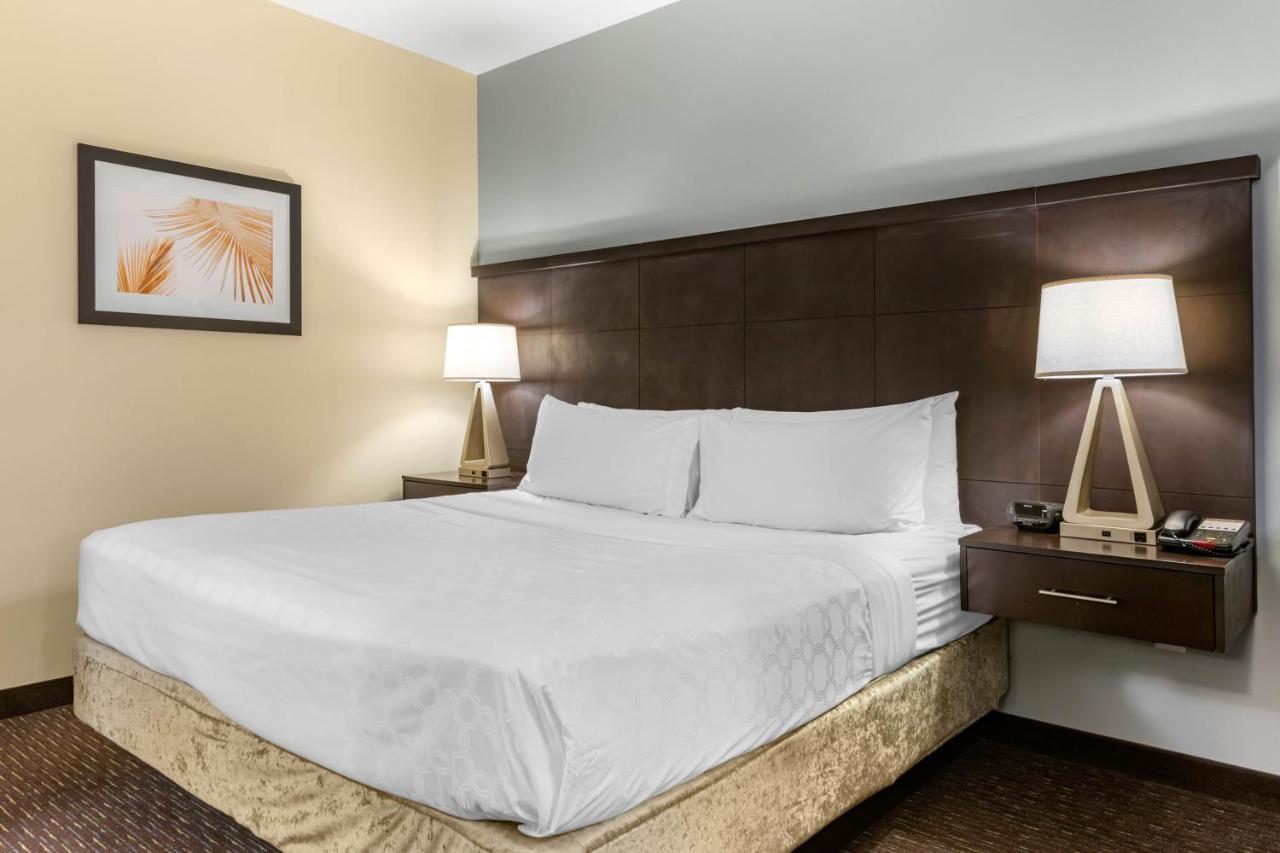 Staybridge Suites St. Petersburg Fl By Ihg Exterior foto