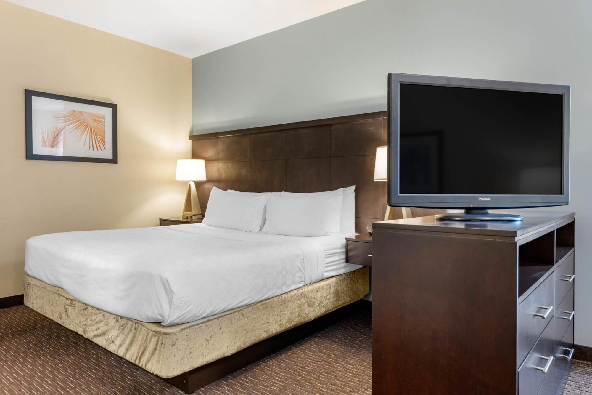 Staybridge Suites St. Petersburg Fl By Ihg Exterior foto